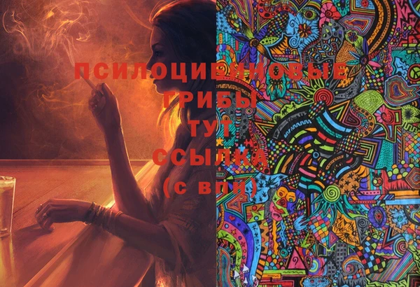 кокс Бородино