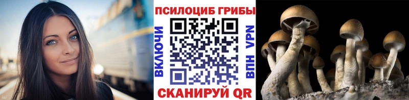 Псилоцибиновые грибы прущие грибы  kraken маркетплейс  Луховицы 